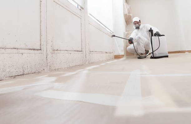 24/7 Emergency Mold Remediation experts in Douglas, GA